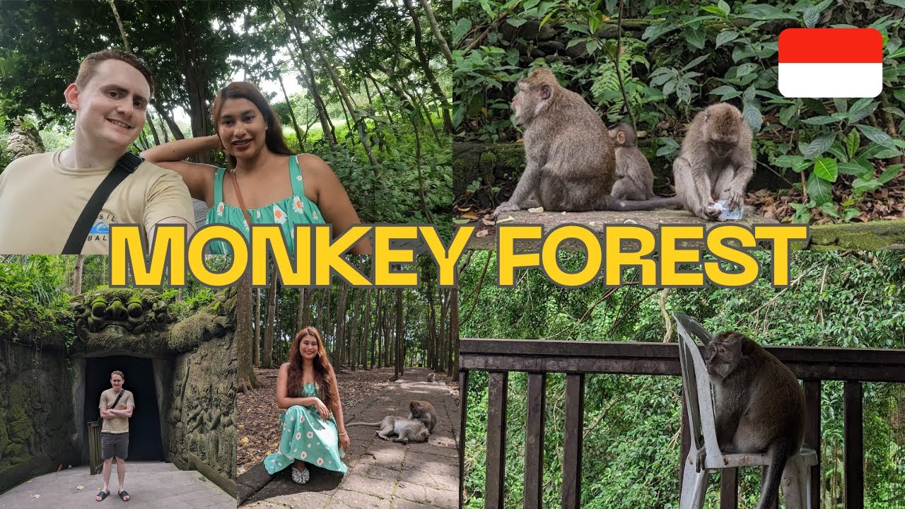 Indonesia Bali 🇮🇩 | Ubud Monkey Forest – Sacred Sanctuary & Wild Monkeys