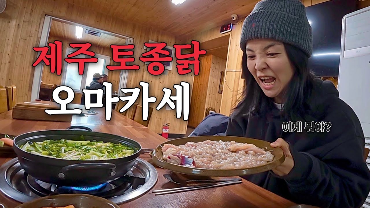 폭설로 모든 곳이 통제된 제주에서 엄마랑 단둘이 즉흥여행