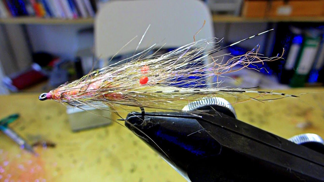 Fliegenbinden gegen Coronafrust...      X-Ray-Shrimp