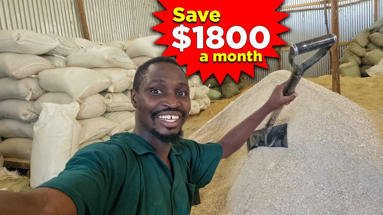 I'm Saving Money by Making My Own CHEAP Chicken Feed