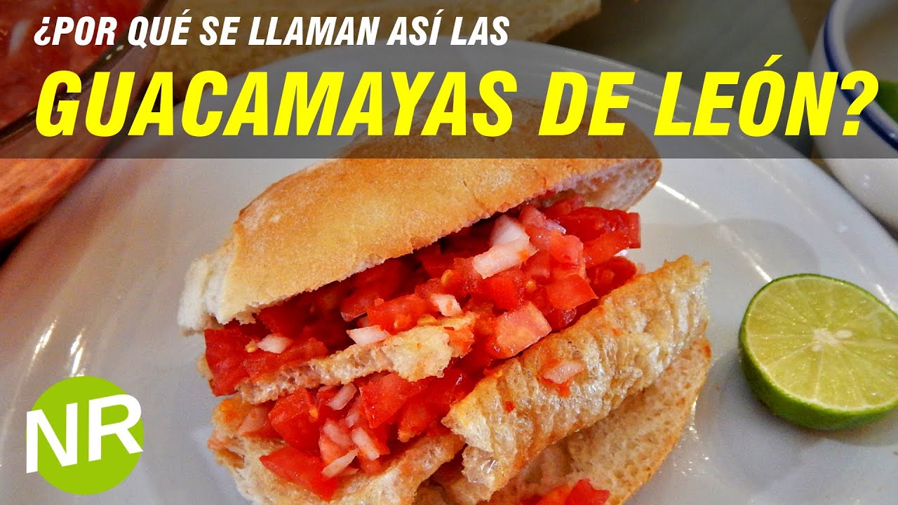 GUACAMAYAS DE LEON GUANAJUATO, DON DIEGO   ¿Por qué se llaman así? RECETA NOECILLO