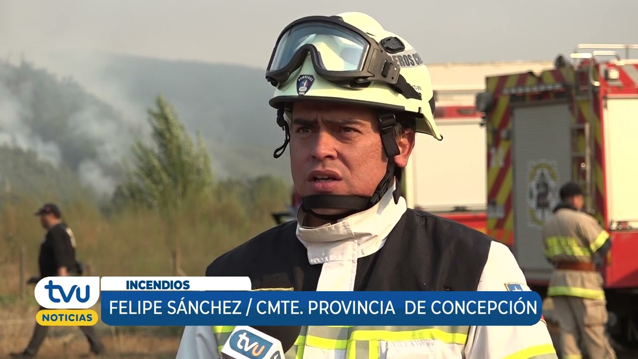 Brigadistas combaten el avance de incendio 