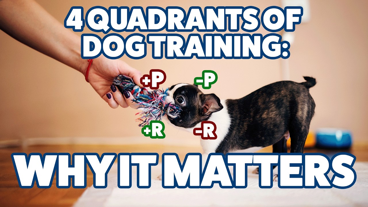 The Dog Training Quadrants We Don’t Talk About: Are We Using Them More Than We Know? #298 #podcast