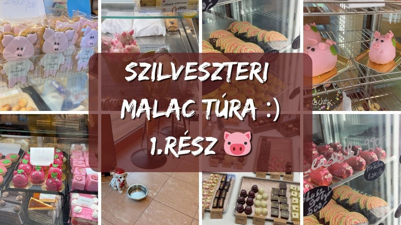 SZILVESZTERI MALAC T&Uacute;RA | 1.r&eacute;sz 🐷