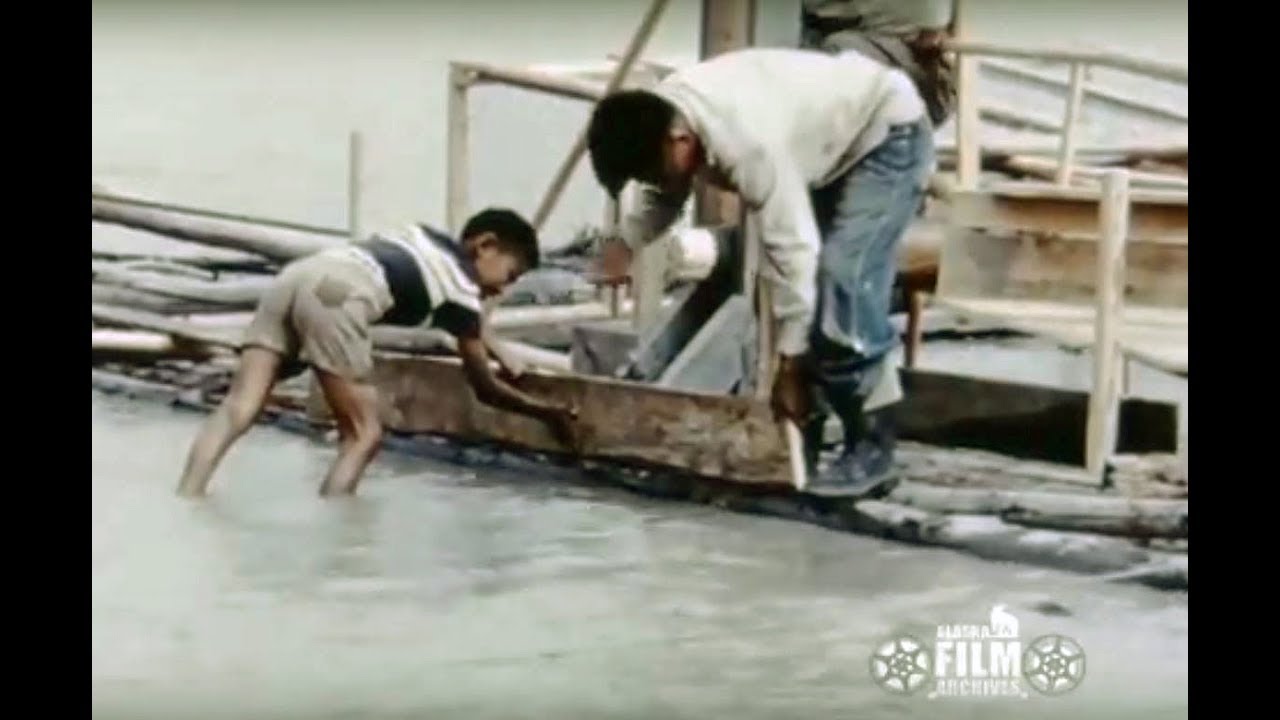 Fish wheel construction on the Tanana River, 1950s