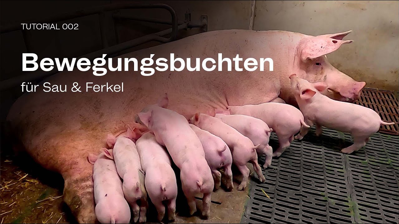 Tutorial 4: BEWEGUNGSBUCHT
