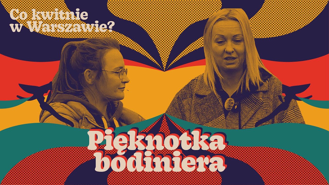 Pięknotka w jesiennej odsłonie