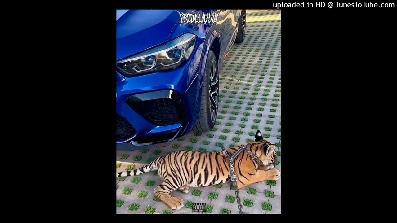 [FREE] Reggae x BoomBap Type Beat - “High” Prod. Llamas