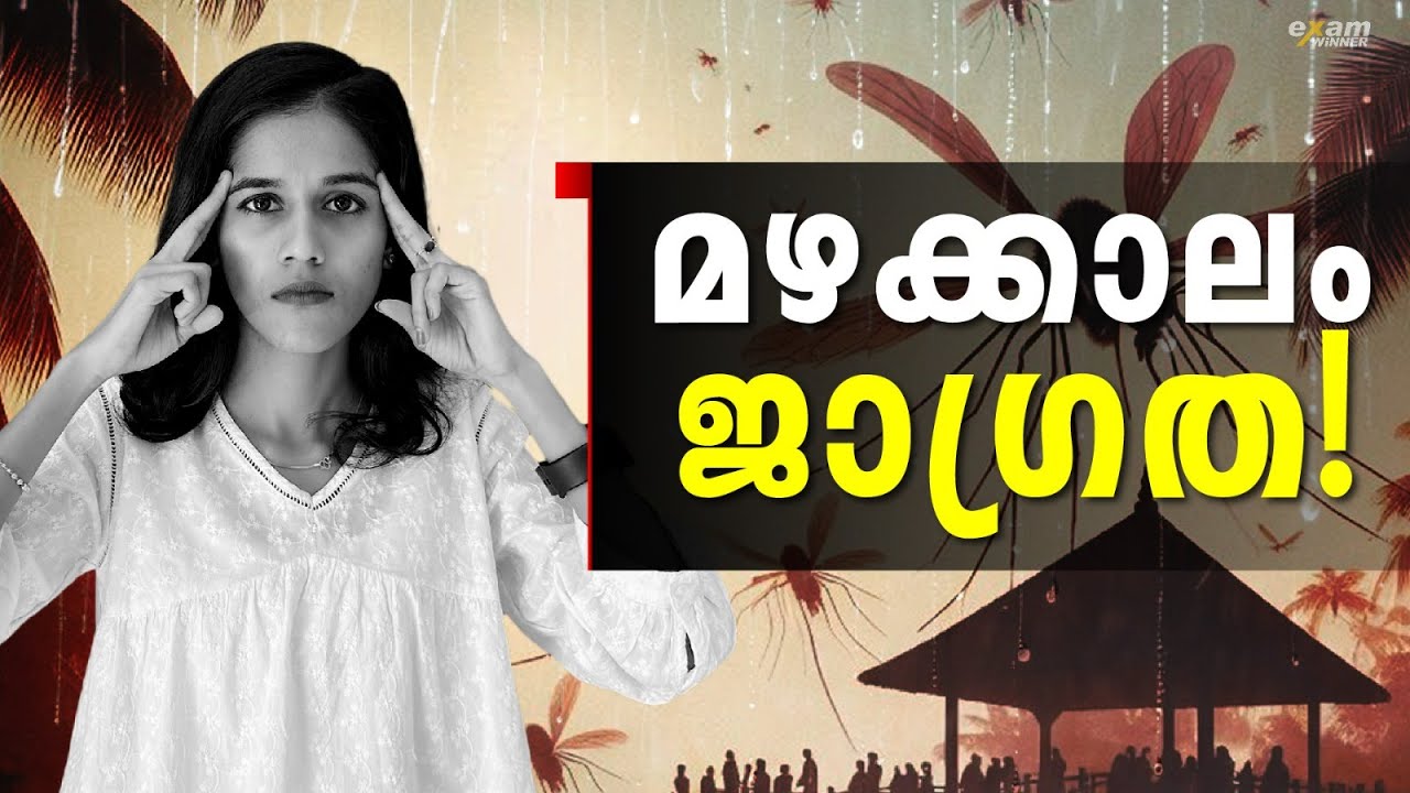 മഴ മഴക്കാല ജാഗ്രത 🌧️പനിപേടിച്ച് കേരളം 🦟🤧| മുൻകരുതൽ എടുക്കേണ്ടത് അനിവാര്യമാണ് !!! Exam Winner