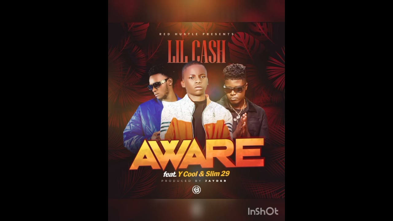 Lil_Cash ft Y_Cool & SLIM_29 Aware (Official Audio)