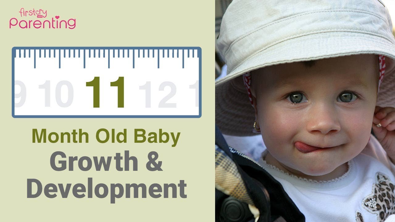 11 Month Old Baby : Development, Activities & Care Tips