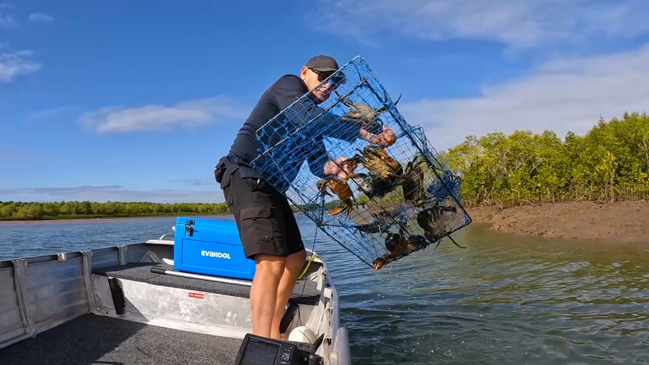 CATCH CRABS - Quick and Easy | Pull POTS | Mud CRAB Snack!