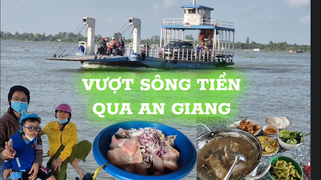 Vượt Sông Tiền Từ Đồng Tháp Qua An Giang | Thưởng Thức Cá Tra Sông Nhúng Giấm Miền Tây