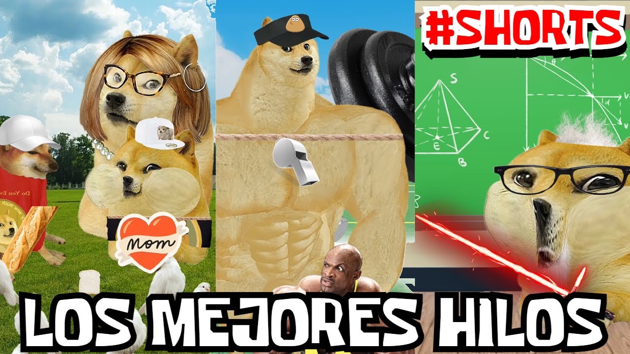 RECOPILACI&Oacute;N DE LOS MEJORES SHORTS DE DOGE Y CHEEMS, BOLIVEN Y SUS HISTORIAS