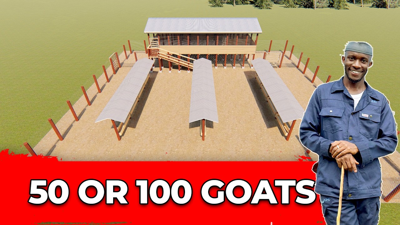 50 or 100 Goats? Build the Perfect Farm Design!