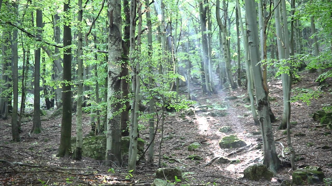 Il parco del Marguareis in Valle Pesio