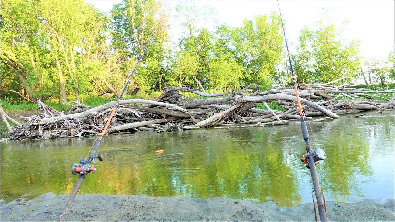 Fishing by a MASSIVE BRUSHPILE!! (River Camping)