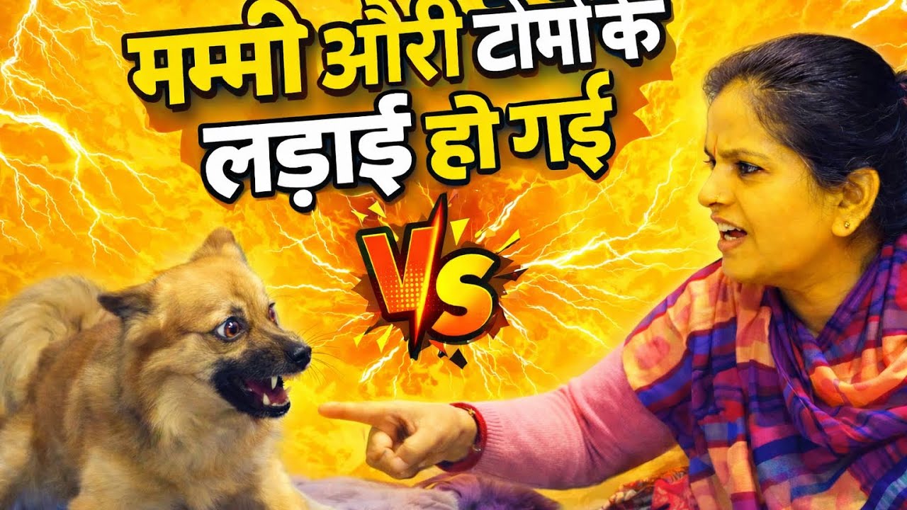 मम्मी और टोमी की लड़ाई हो गई ||😱 mummy or Tommy ki Ladai ho Gayi ||😱