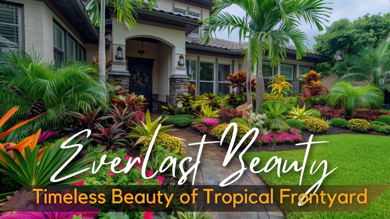 Pocket-Size Paradise: Tropical Beauty Frontyard  with Exotic Plant, Lighting, Walkways& Sleek Design