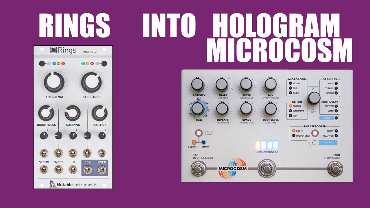 Mutable Instruments Rings into Hologram Microcosm