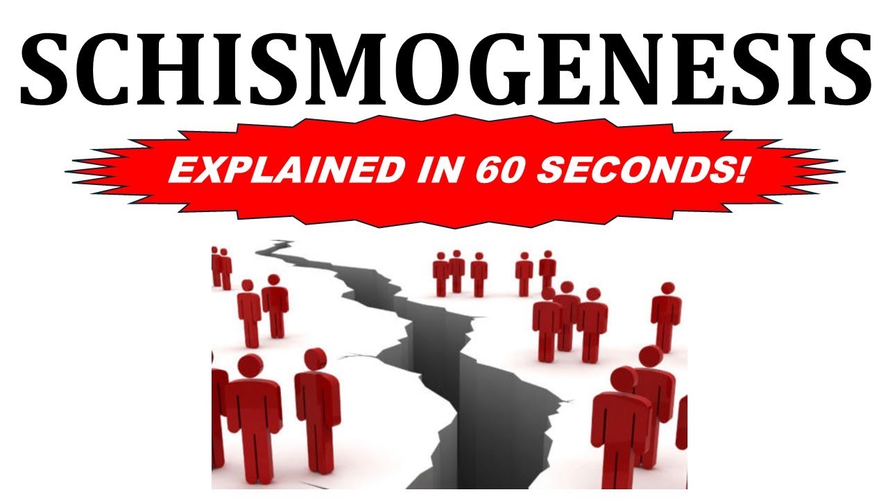 Concepts in 60   Schismogenesis