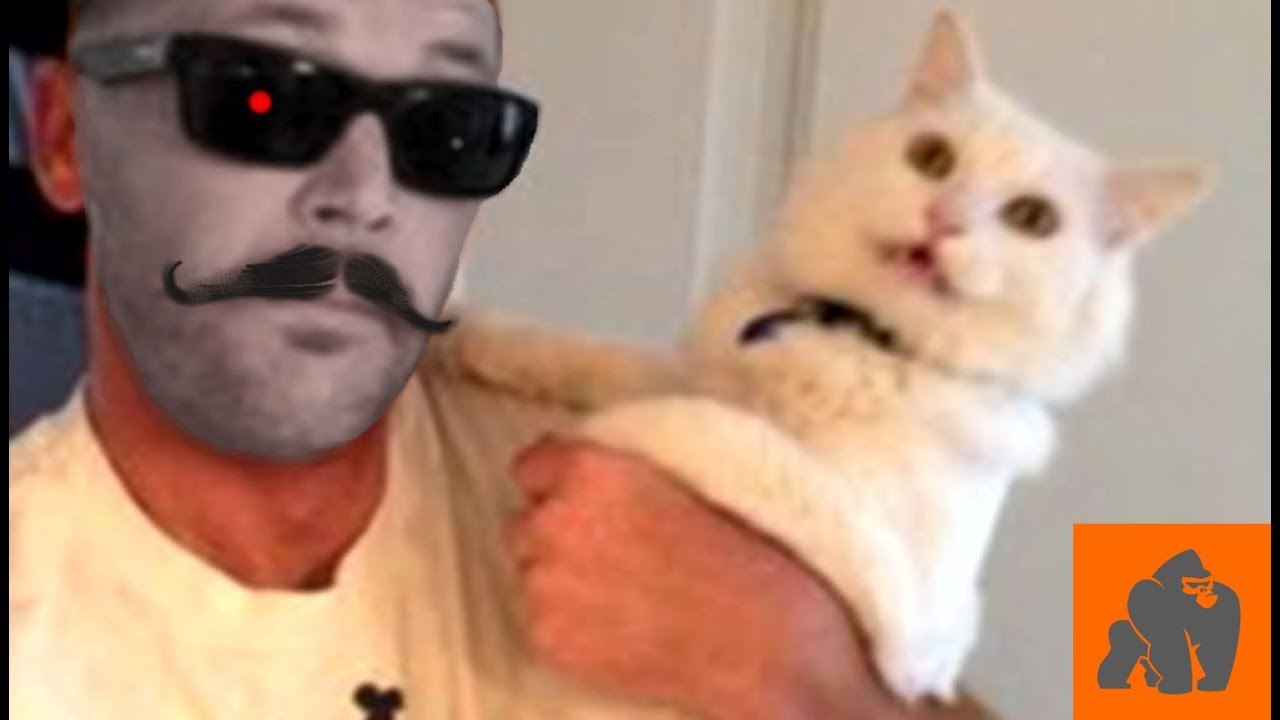 Funny Cats Scared of Masks - Part 3