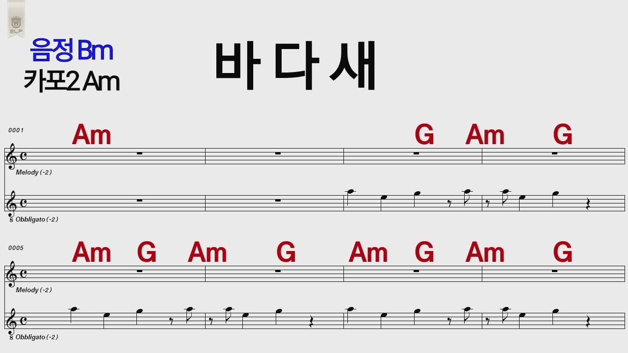 바다새 Bm /카포2 Am   /통기타 카포 악보영상
