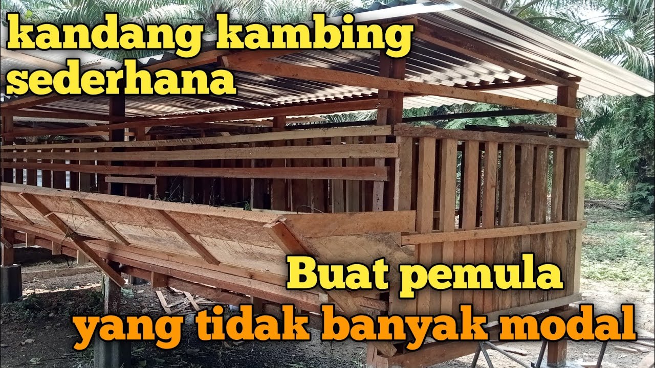 kandang kambing sederhana model minimalis 4x1,3meter