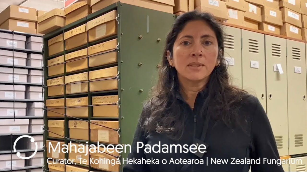 Meet Maj Padamsee, curator of the New Zealand Fungarium