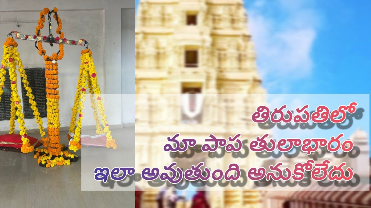 Tirumala lo ma pappa ki thilabharam #dwarakathirumala #tirupati #thulabharam #ytviral