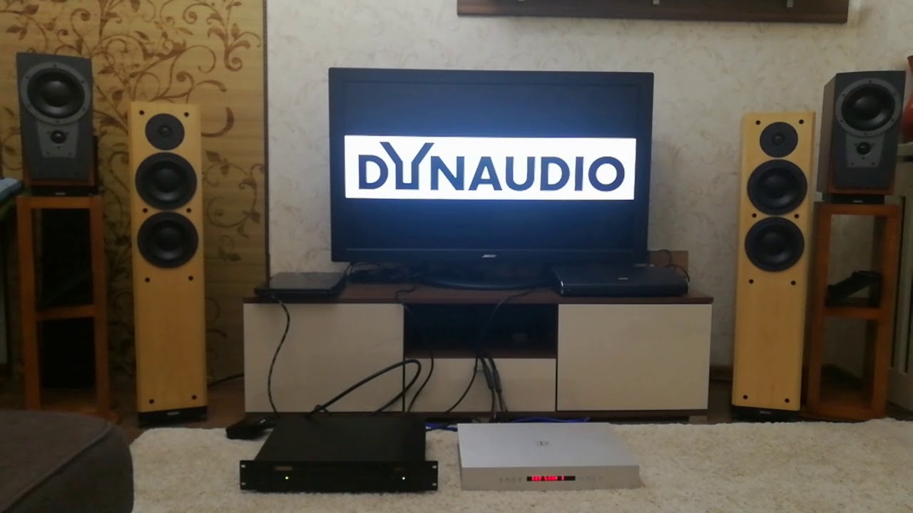 Dynaudio focus 220mk2 & Densen beat 130 & parasaund dac 2000