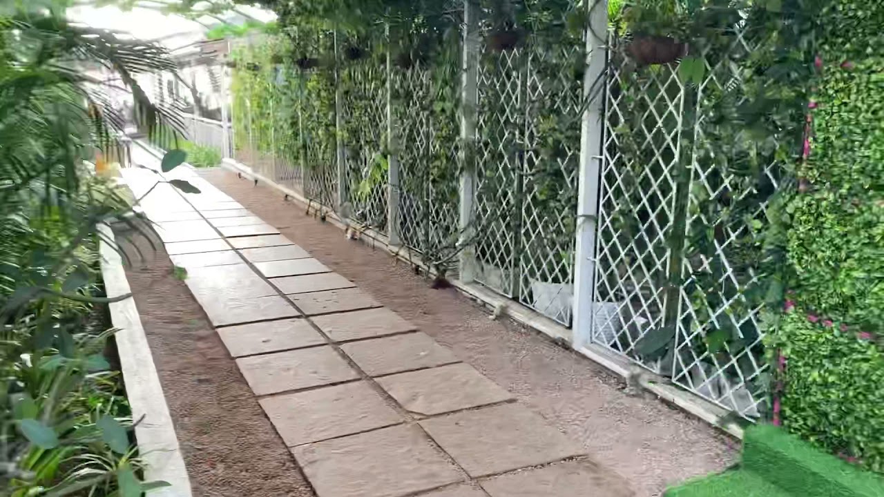 Titlie, Vagator, Goa