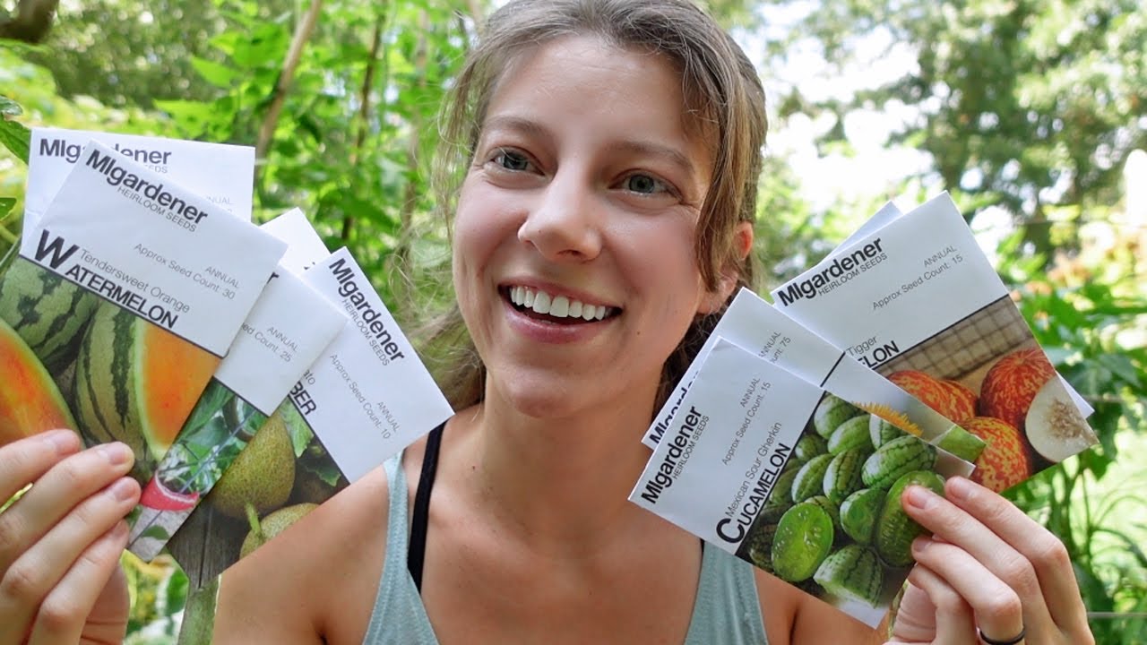 MIGardener Seed Haul 2022! | Wild Pines Farm
