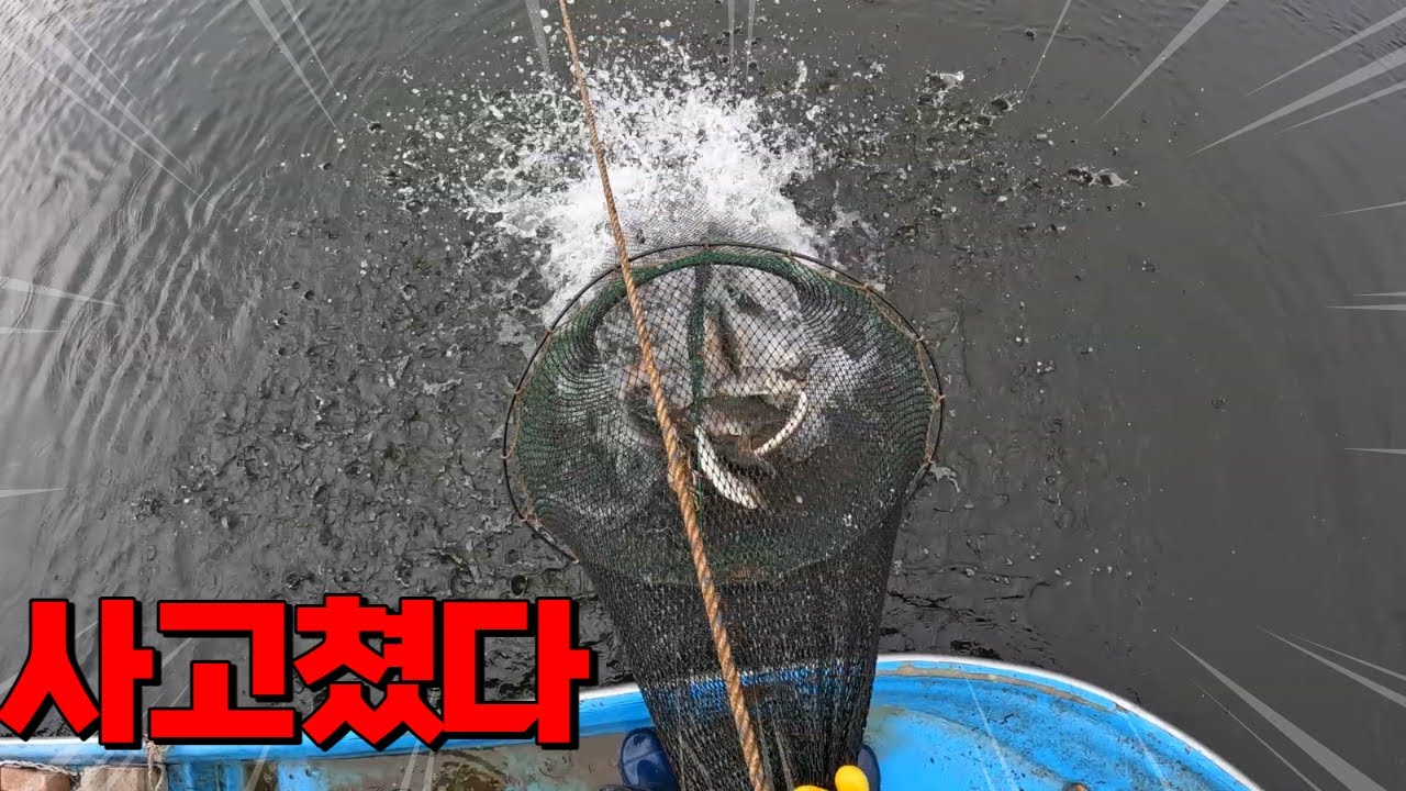 이걸 잡으려고 임진강을 선택한 겁니다.. 와.. 이렇게 많이 나올 수가 있나요?!