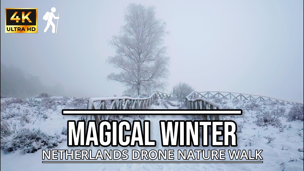 Magical Drone Winter Walk ❄️| Lemelerberg in de Sneeuw | 4K Ambience Video
