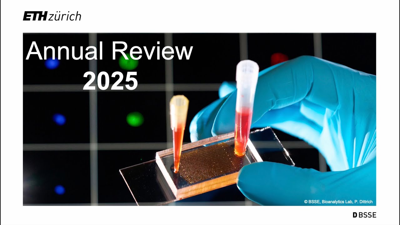 2025 in Review
