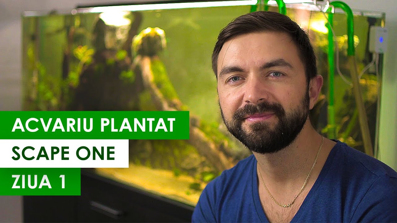 Acvariu plantat NOU - 