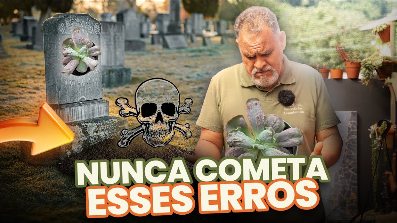 NUNCA COMETA ESSES ERROS NO CULTIVO DAS TUAS SUCULENTAS
