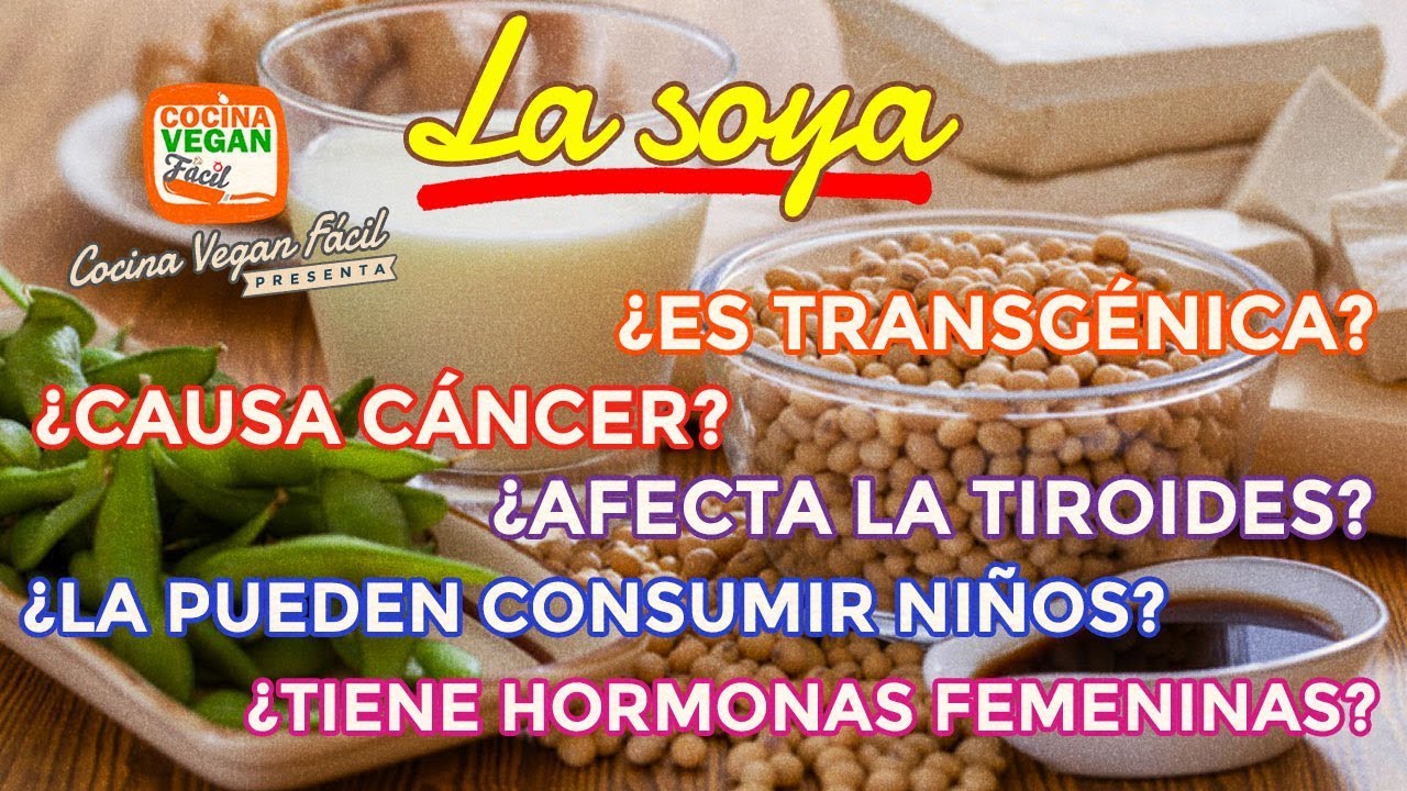 Soya ¿Transgénica? ¿Dañina? ¿Hormonas femeninas? ¿Afecta tiroides? ¿Cancér?- Cocina Vegan Fácil