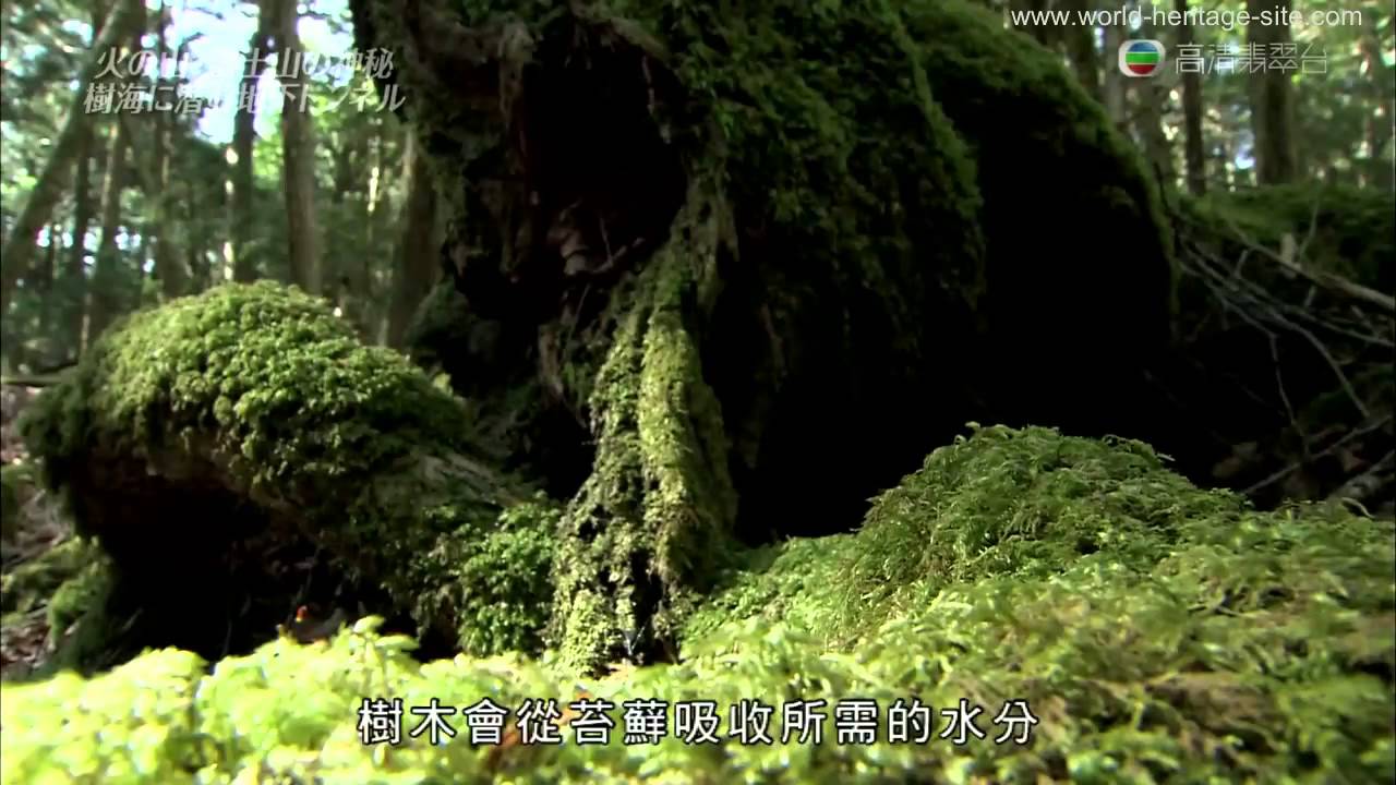 [Cantonese] Japan Fujisan, sacred place and source of artistic inspiration Part 1 of 2