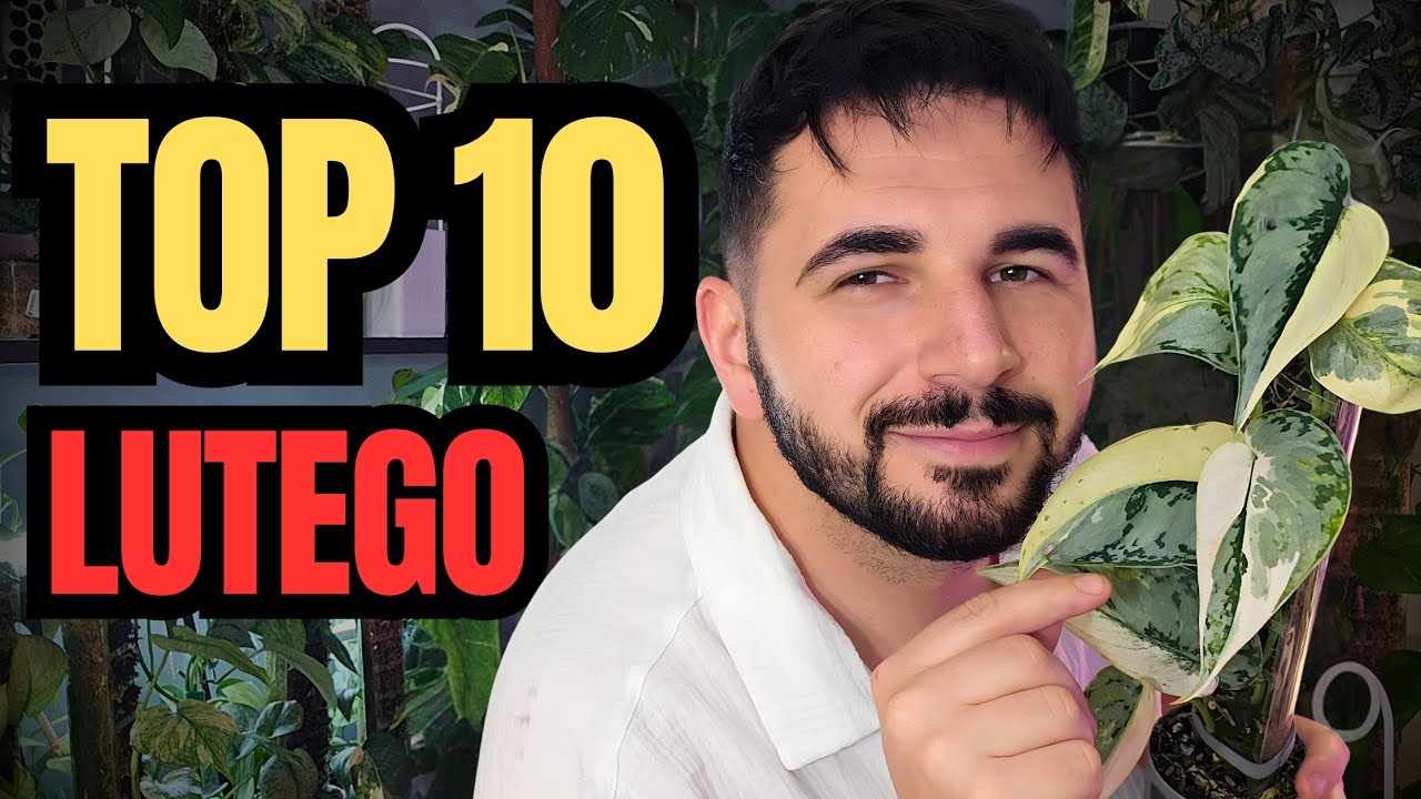 NAJLEPSZE ROŚLINY 🌿 Top 10 w LUTYM 💚