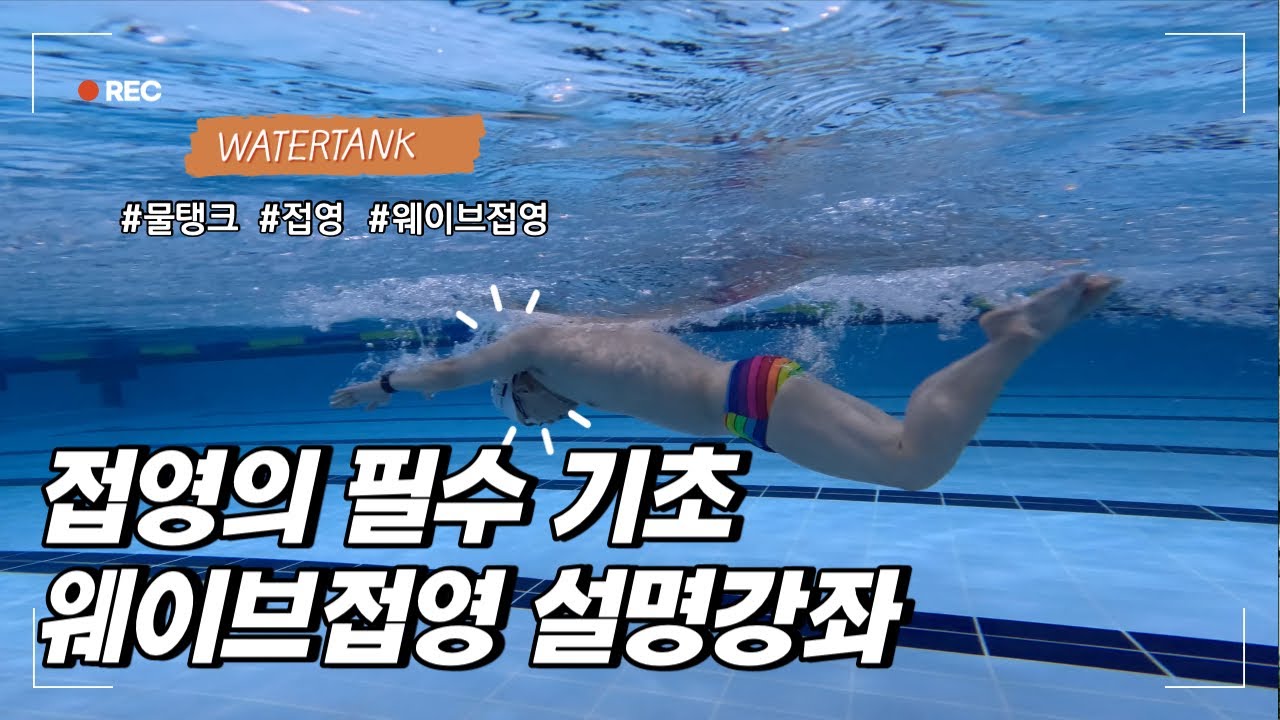 [물탱크] 접영 양팔돌리기 기본기를 잘 잡자! - 잘못된동작