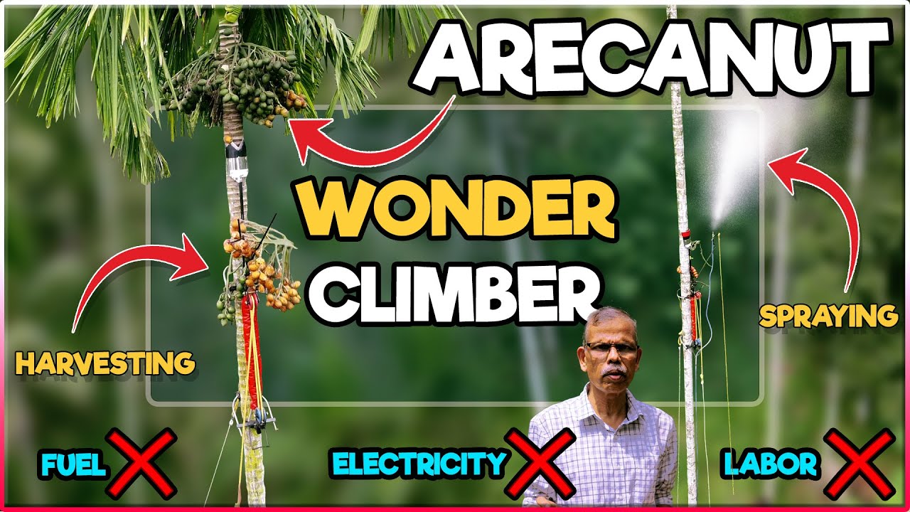 Wonder Climber Machine for Arecanut Tree | Areca nut Harvesting and Pesticide Spraying Tool