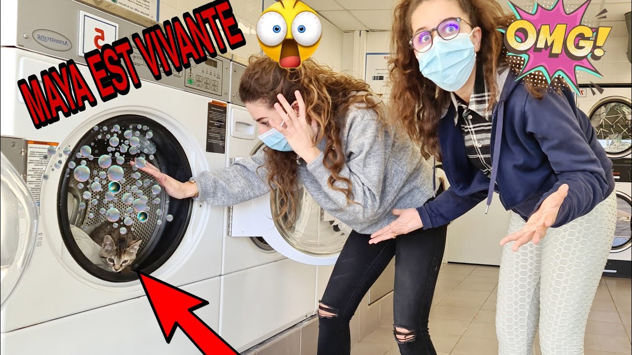 ON A OUBLIÉ NOTRE CHATON DANS LE LAVE LINGE !