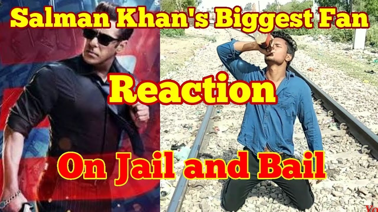 SALMAN KHAN'S Biggest Fan Reaction | After Jail and after Bail | by Amit Singh n Team