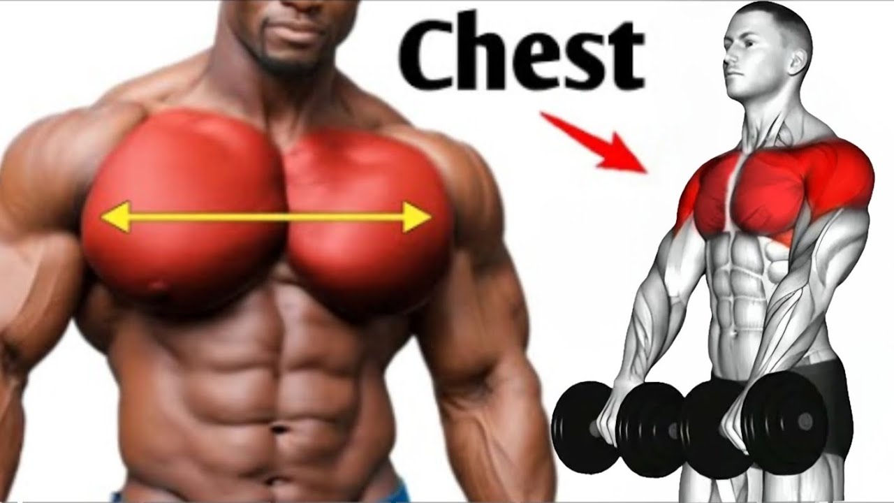 BEST 5 CHEST EXERCISES FOR BEGINNERS TO ADVANCE #chest #workout #beginners #advance 