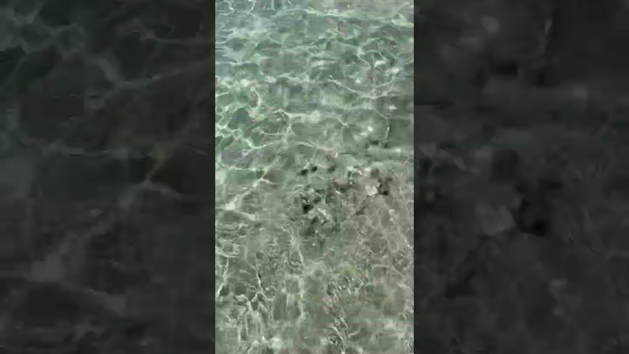 Raw Ocean Waves #relaxing #crystalwaters #nature #peace #bluewater #ocean #oceanwaves #meditation