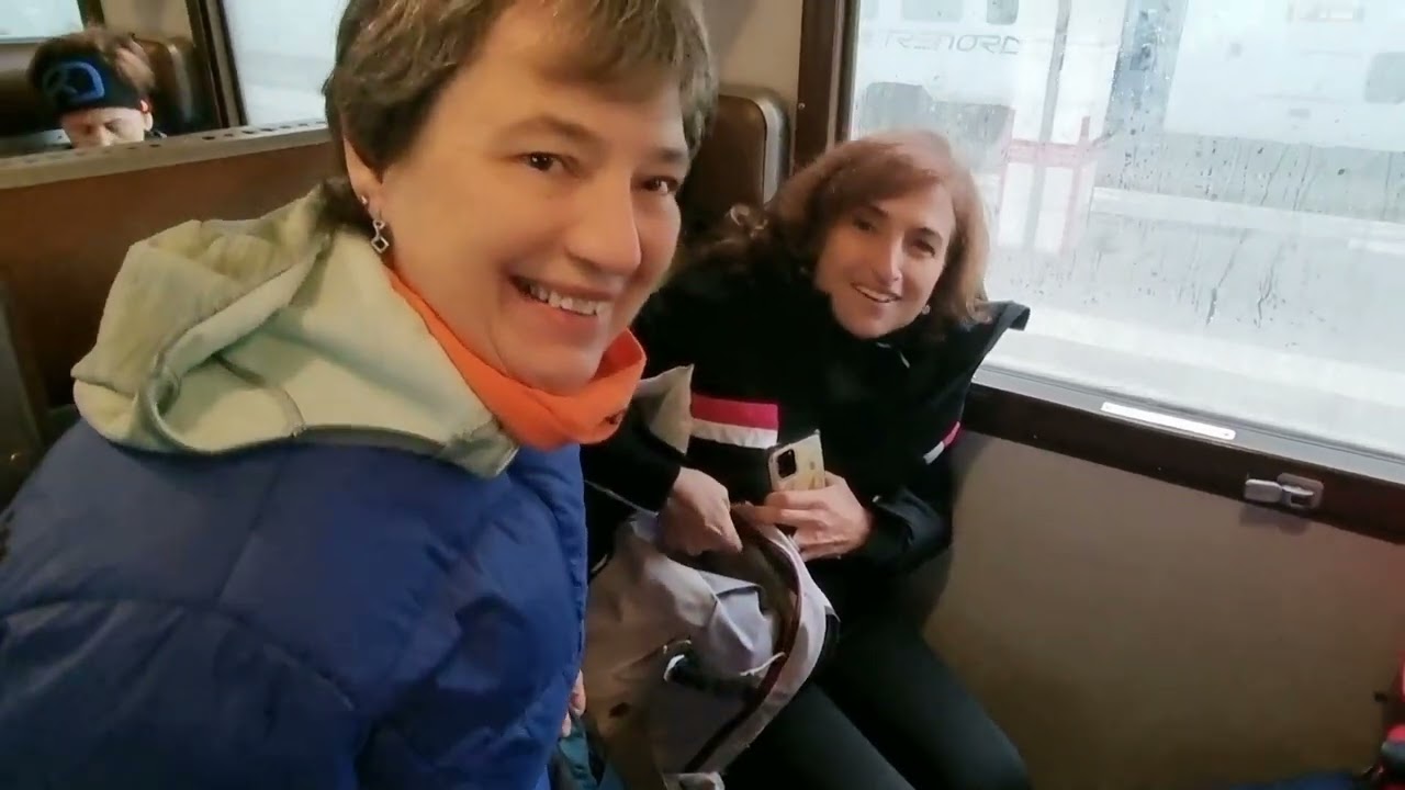 Trenino storico Novara-Varallo Sesia con Nordikgo 08-12-2024