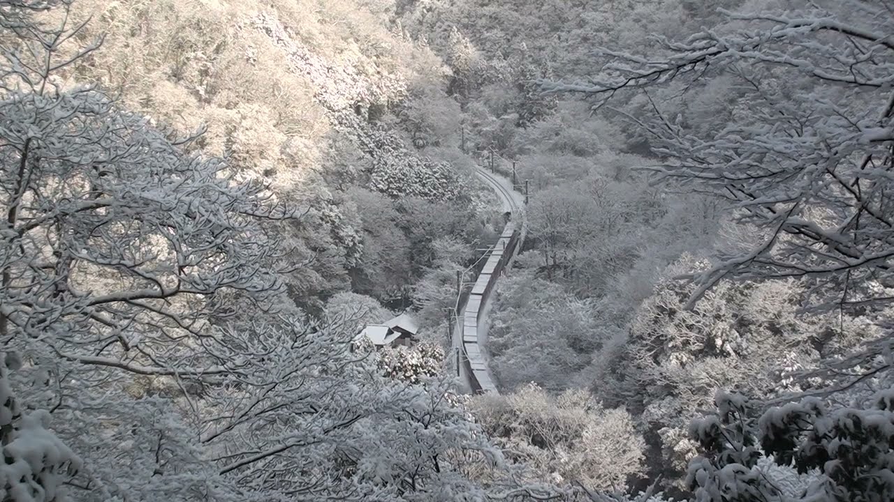 2026年　雪景色の伯備ロクヨン貨物