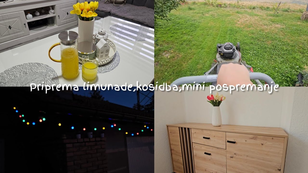 Priprema limunade | Kosidba | Mini pospremanje  | Dan na selu